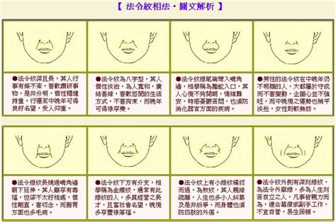 法令紋分叉|面相圖解，法令紋的詳細解說